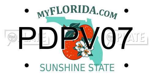 PDPV07 Florida License Plate