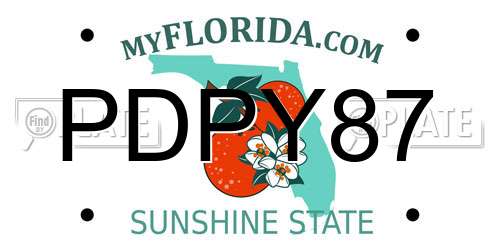 PDPY87 Florida License Plate