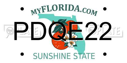 PDQE22 Florida License Plate