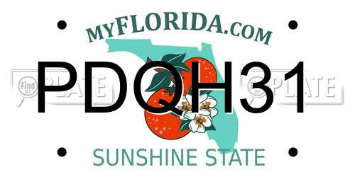 PDQH31 Florida License Plate
