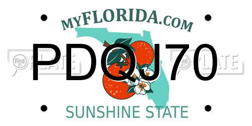 PDQJ70 Florida License Plate