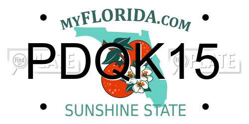 PDQK15 Florida License Plate