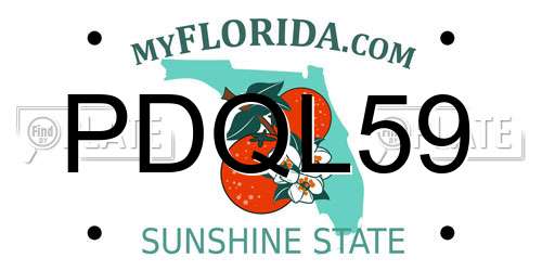 PDQL59 Florida License Plate