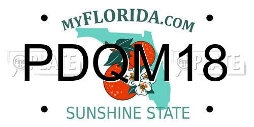 PDQM18 Florida License Plate