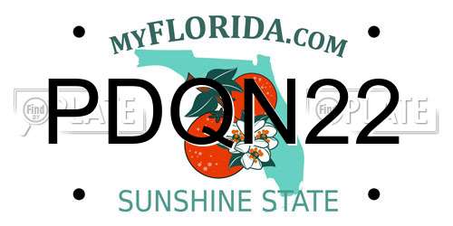 PDQN22 Florida License Plate