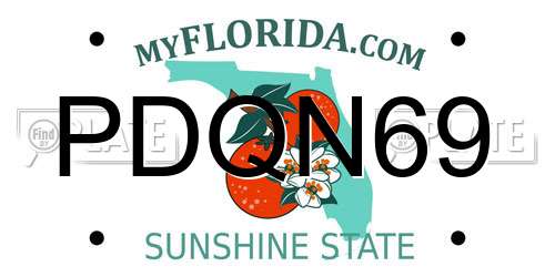 PDQN69 Florida License Plate