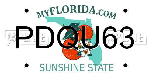 PDQU63 Florida License Plate