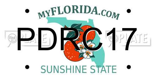 PDRC17 Florida License Plate