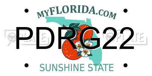PDRG22 Florida License Plate