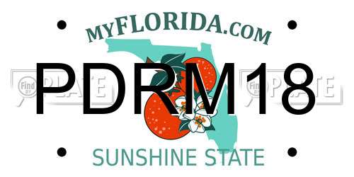 PDRM18 Florida License Plate