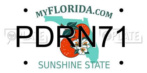 PDRN71 Florida License Plate