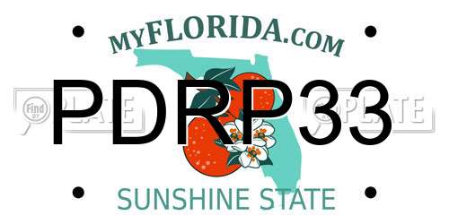 PDRP33 Florida License Plate