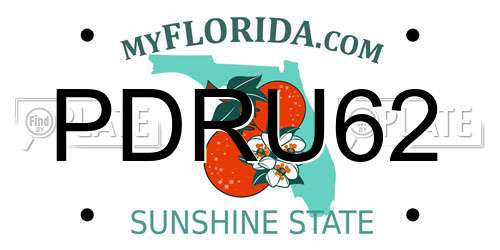 PDRU62 Florida License Plate