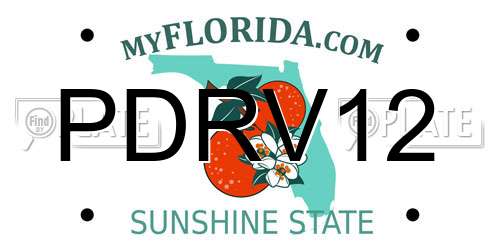 PDRV12 Florida License Plate