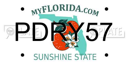 PDRY57 Florida License Plate