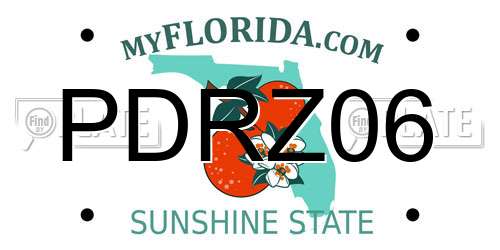 PDRZ06 Florida License Plate