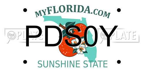 PDS0Y Florida License Plate