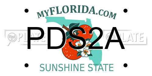 PDS2A Florida License Plate