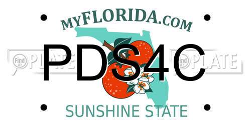 PDS4C Florida License Plate