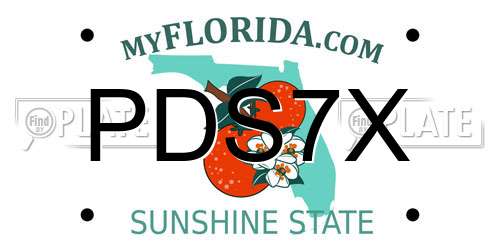 PDS7X Florida License Plate