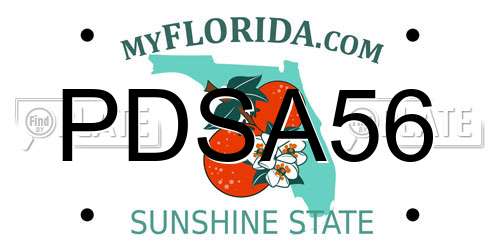 PDSA56 Florida License Plate