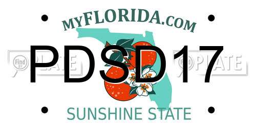 PDSD17 Florida License Plate