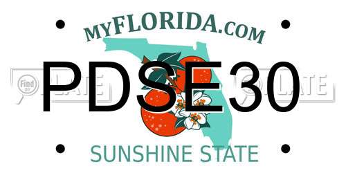PDSE30 Florida License Plate
