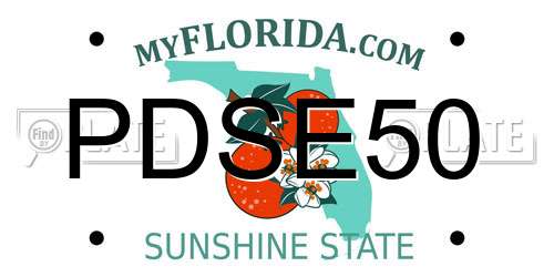 PDSE50 Florida License Plate