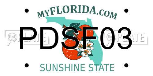 PDSF03 Florida License Plate