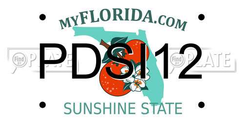 PDSI12 Florida License Plate