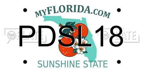 PDSL18 Florida License Plate