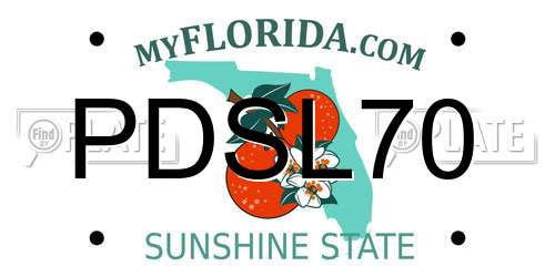 PDSL70 Florida License Plate