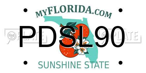 PDSL90 Florida License Plate