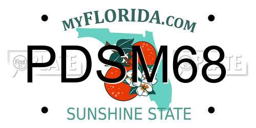 PDSM68 Florida License Plate