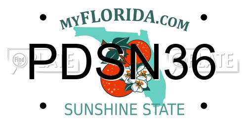 PDSN36 Florida License Plate