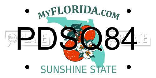 PDSQ84 Florida License Plate