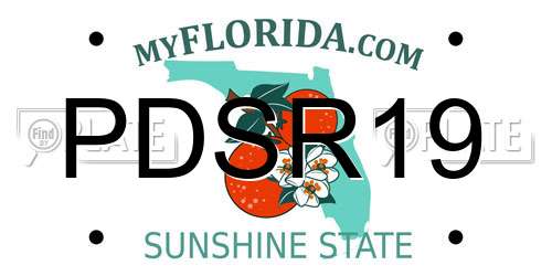 PDSR19 Florida License Plate
