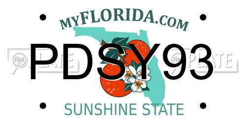 PDSY93 Florida License Plate