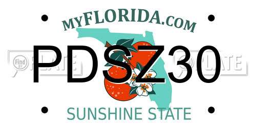 PDSZ30 Florida License Plate