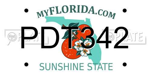 PDT342 Florida License Plate