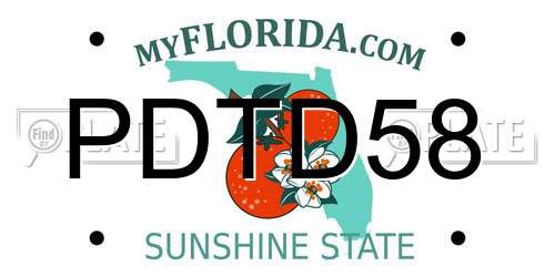 PDTD58 Florida License Plate
