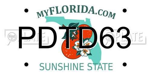 PDTD63 Florida License Plate