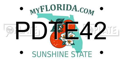 PDTE42 Florida License Plate