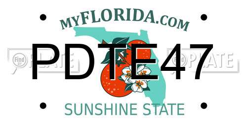 PDTE47 Florida License Plate