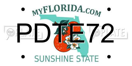 PDTE72 Florida License Plate