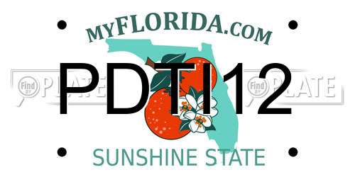 PDTI12 Florida License Plate