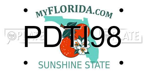 PDTI98 Florida License Plate