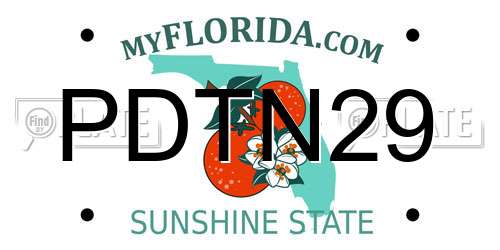 PDTN29 Florida License Plate