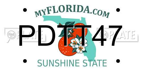PDTT47 Florida License Plate