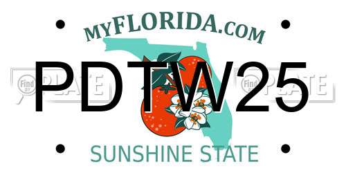 PDTW25 Florida License Plate